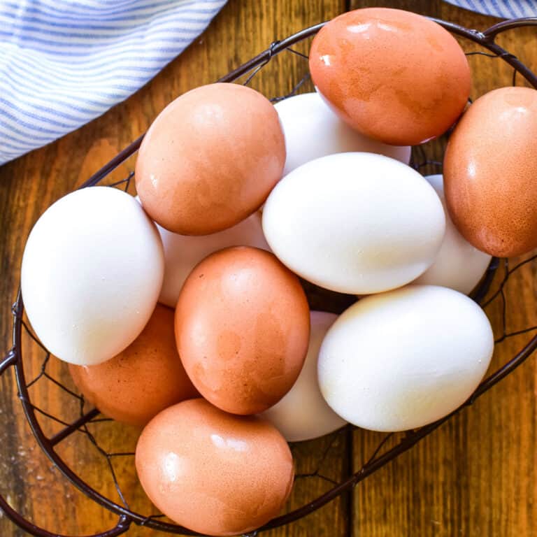 Sustainable Egg Farming