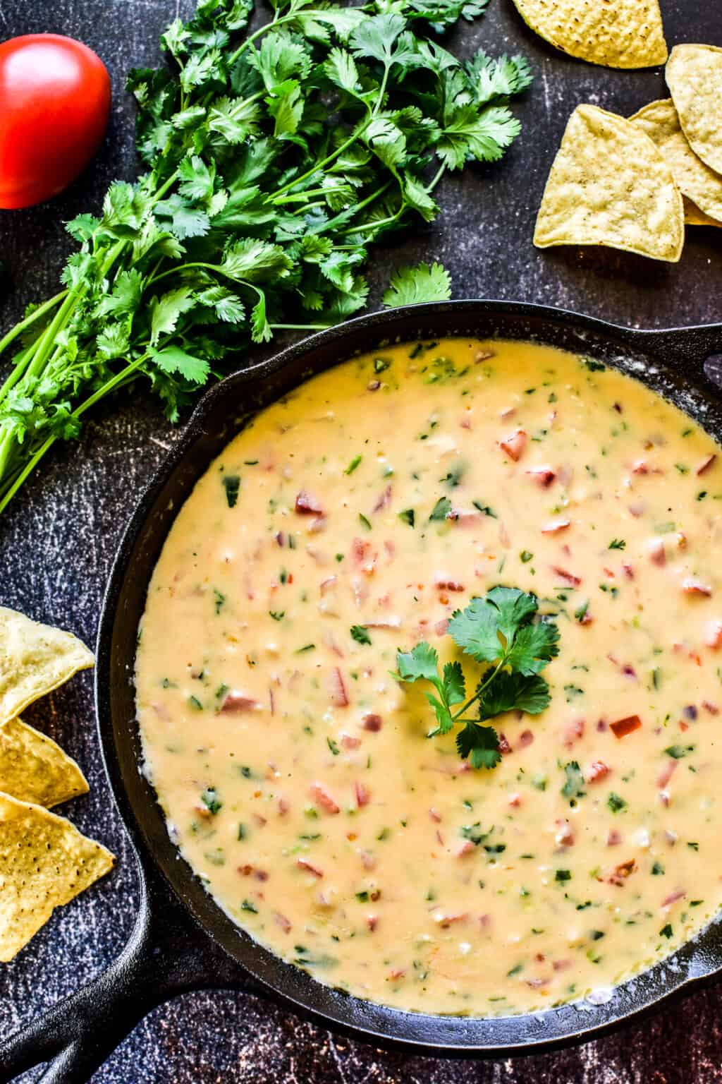 Queso Dip Lemon Tree Dwelling