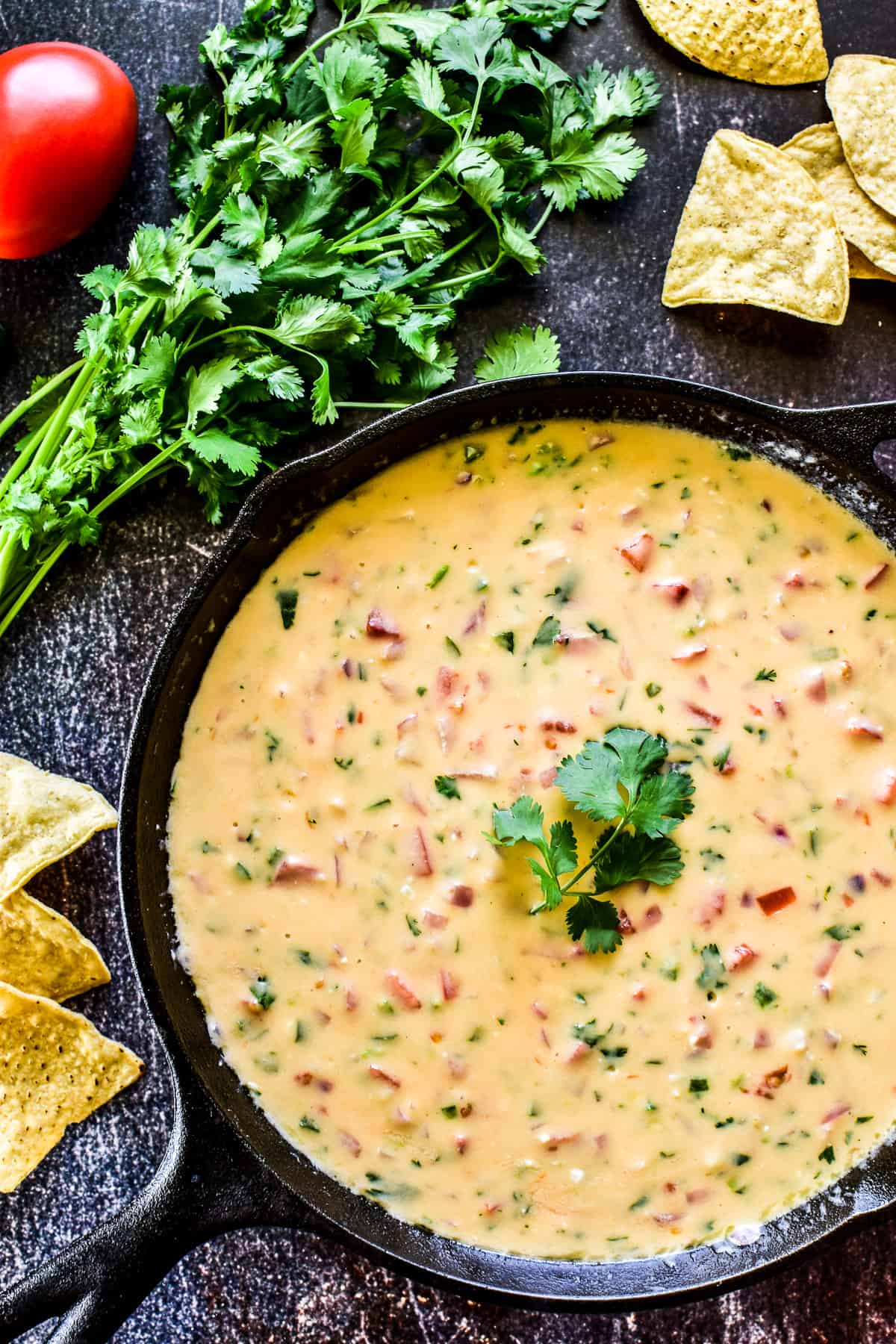 Overhead shot of Queso Dip in cast iron skillet