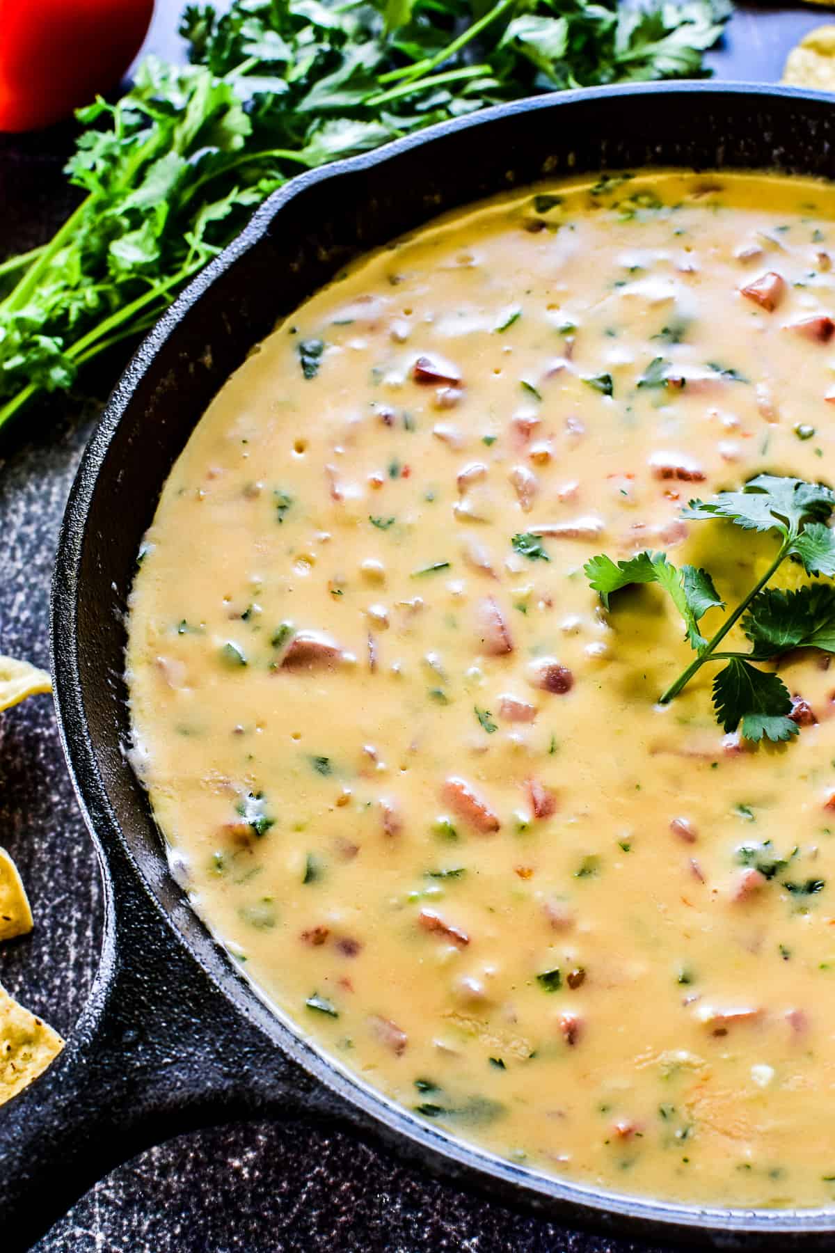 Close up of Queso Dip with fresh cilantro
