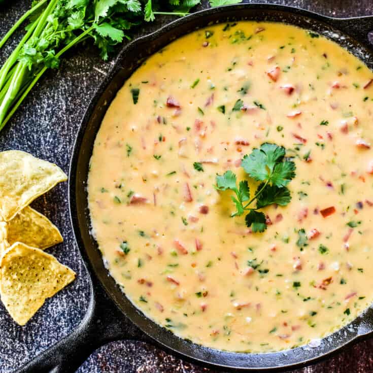Queso Dip Lemon Tree Dwelling