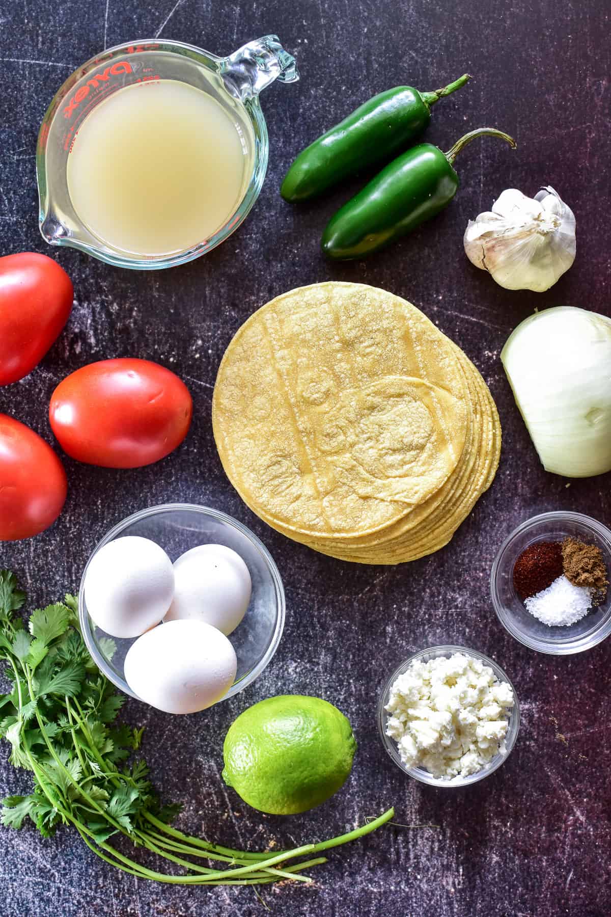 Chilaquiles ingredients on a dark background