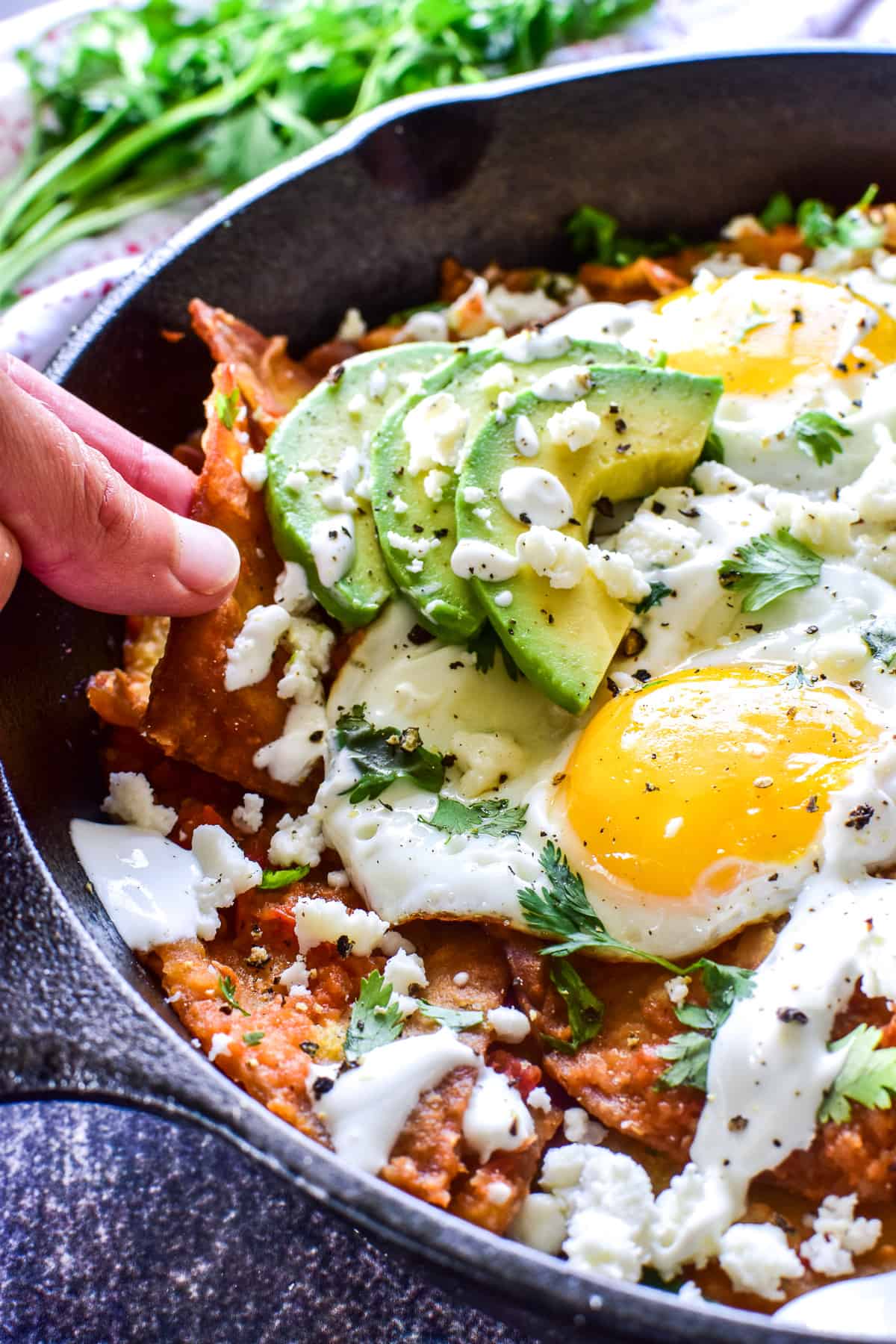 Photo of fingers grabbing chilaquiles 