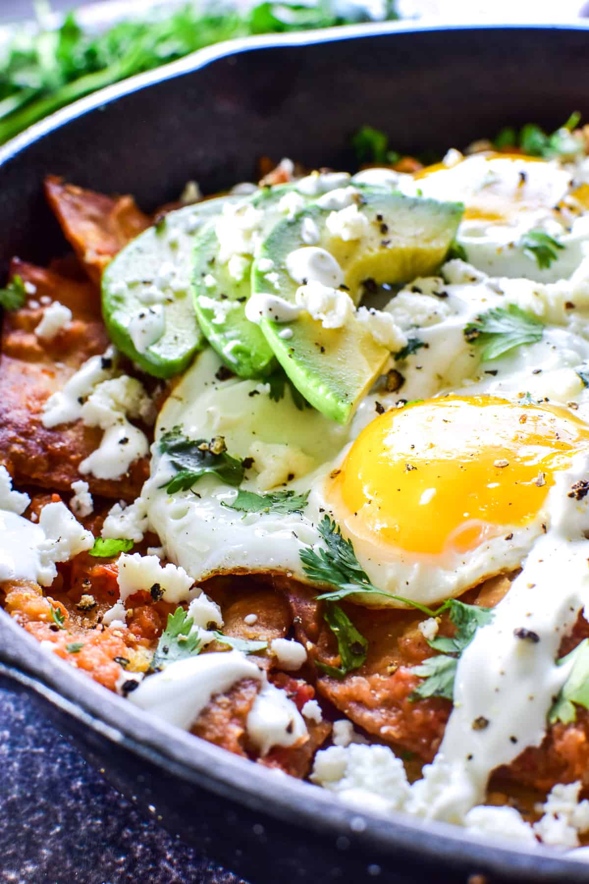 Close up of Chilaquiles with eggs, avocado, sour cream, and cheese