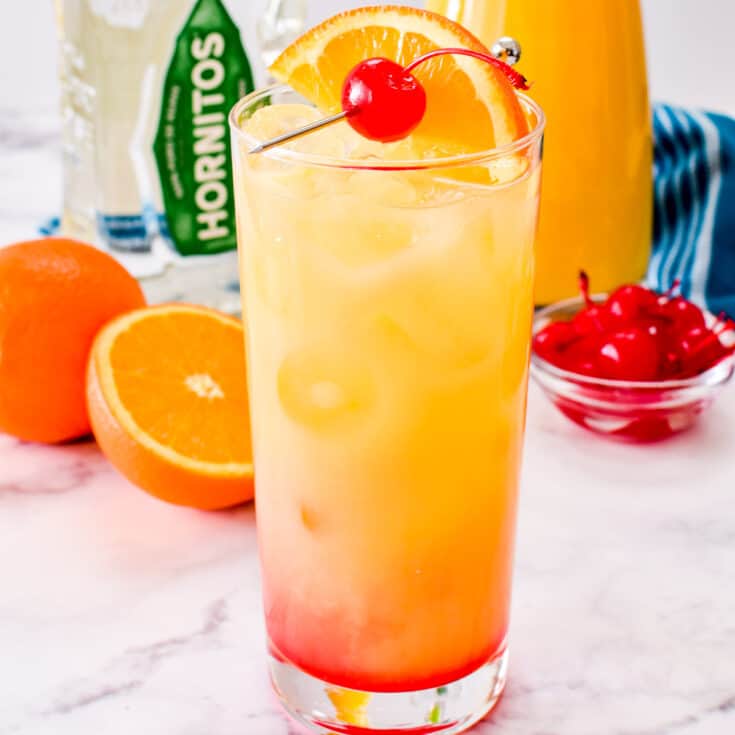 Tequila Sunrise Lemon Tree Dwelling