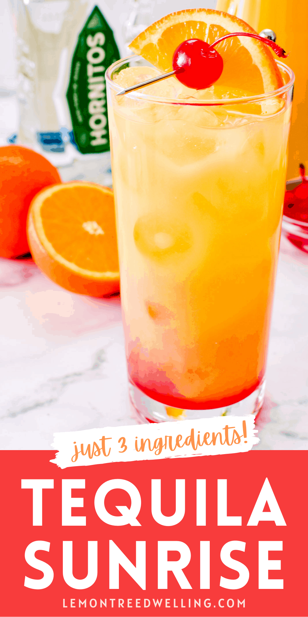 Tequila Sunrise Lemon Tree Dwelling