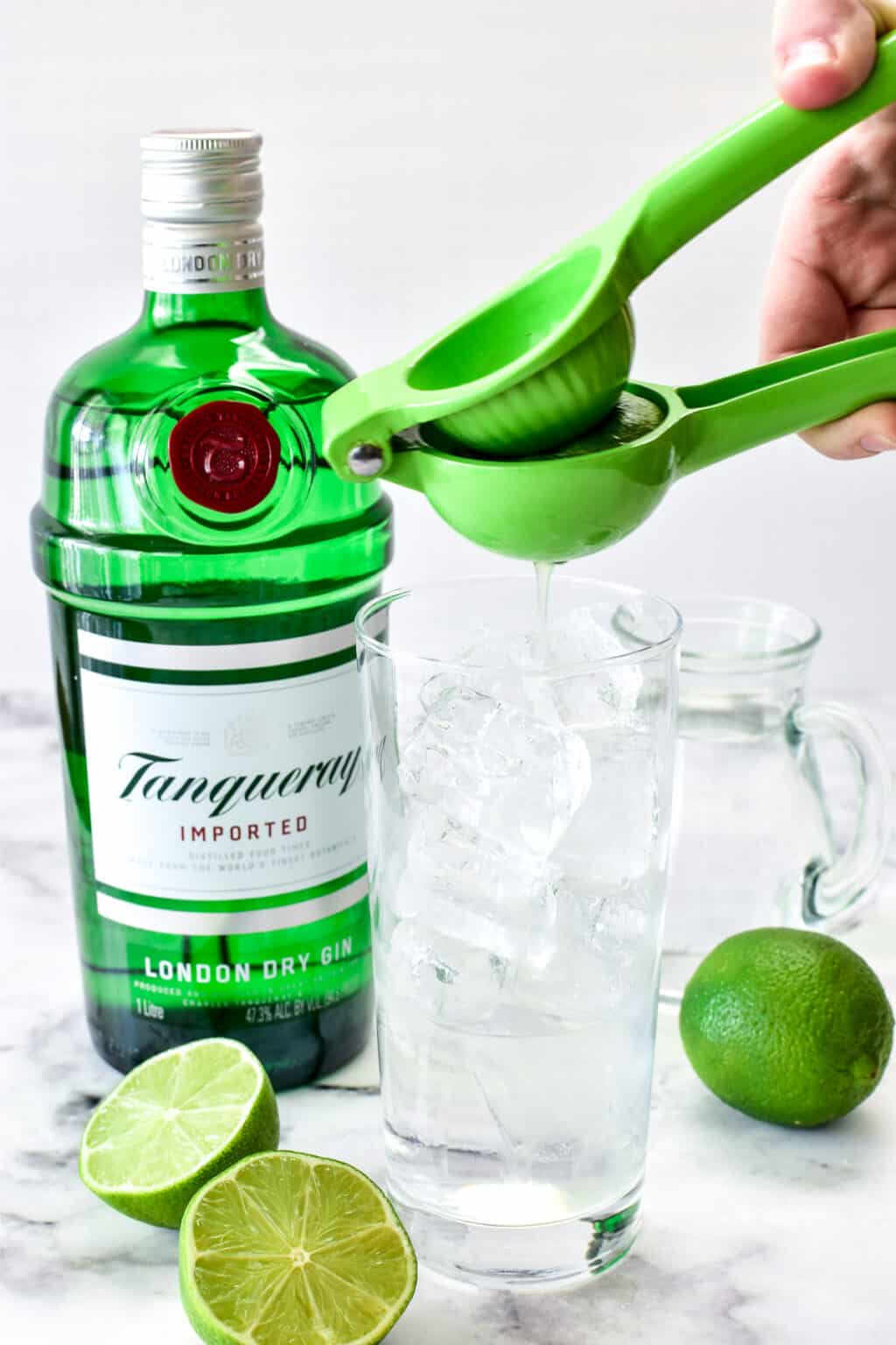 Gin Rickey Lemon Tree Dwelling