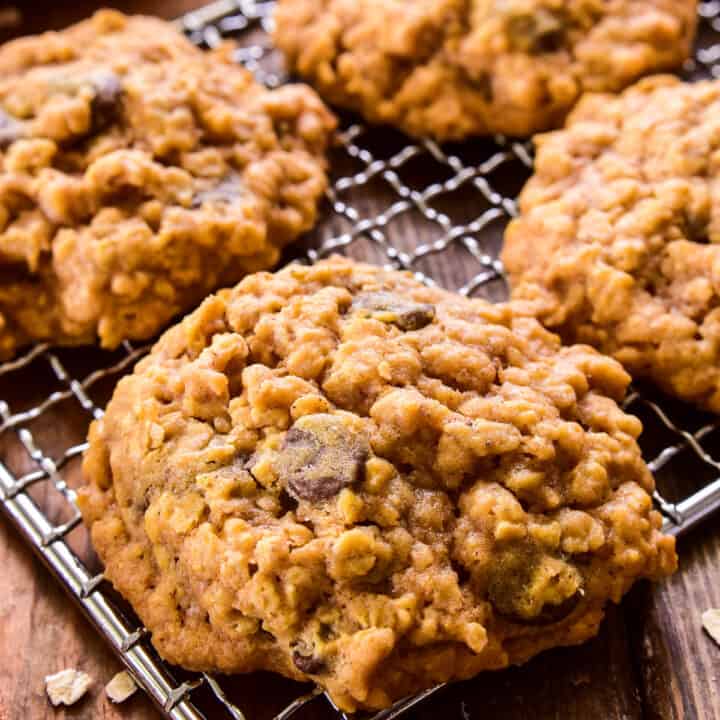 Pumpkin Oatmeal Chocolate Chip Cookies