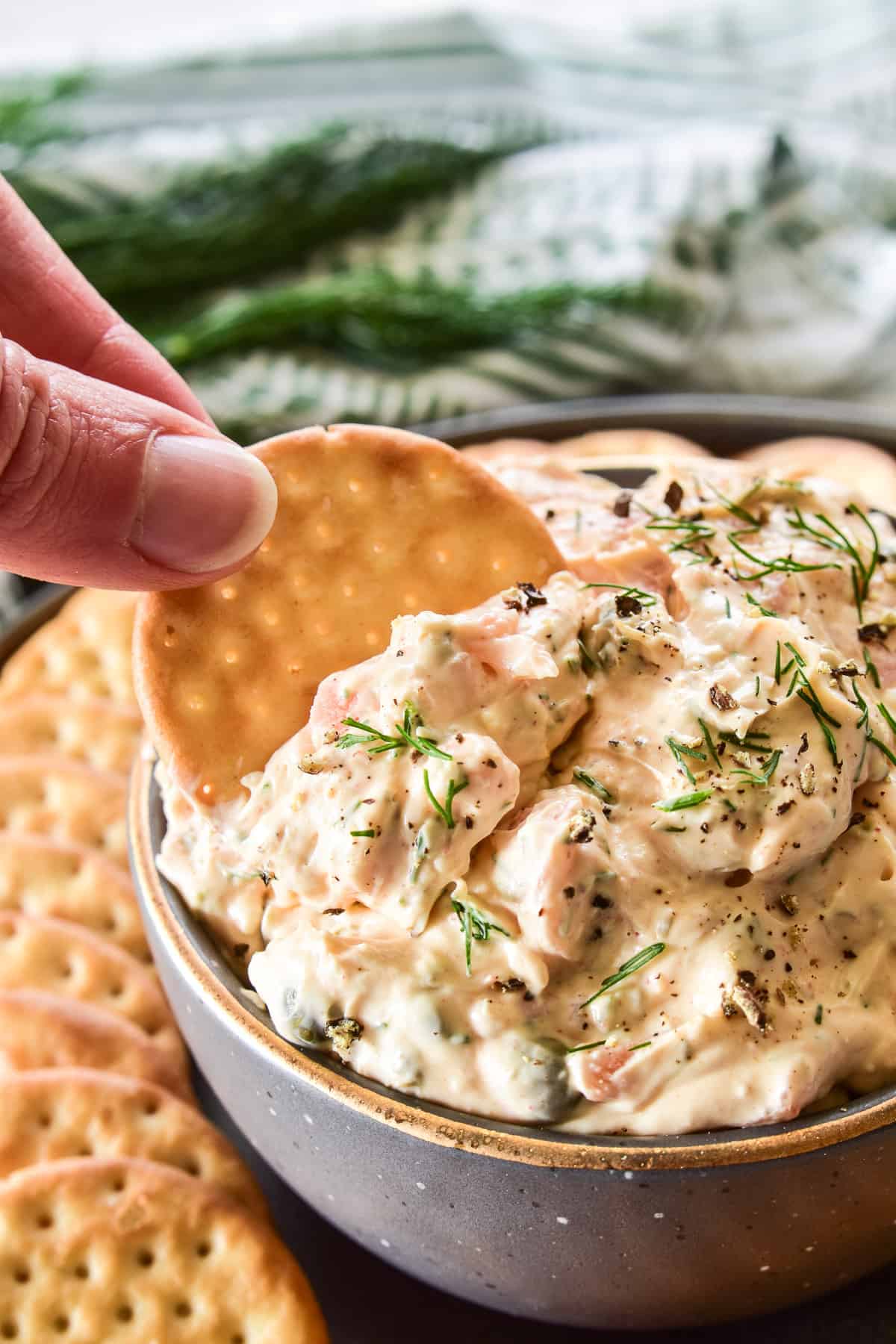 Cracker dipping into Smoked Salmon Dip