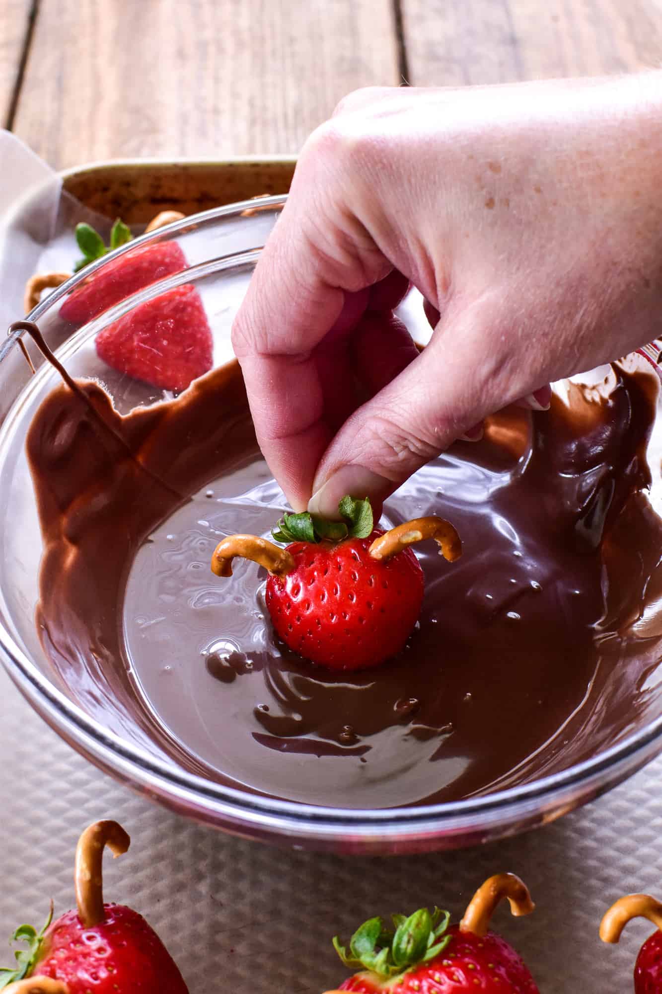 Dip shot of strawberry reindeer into melted chocoalte