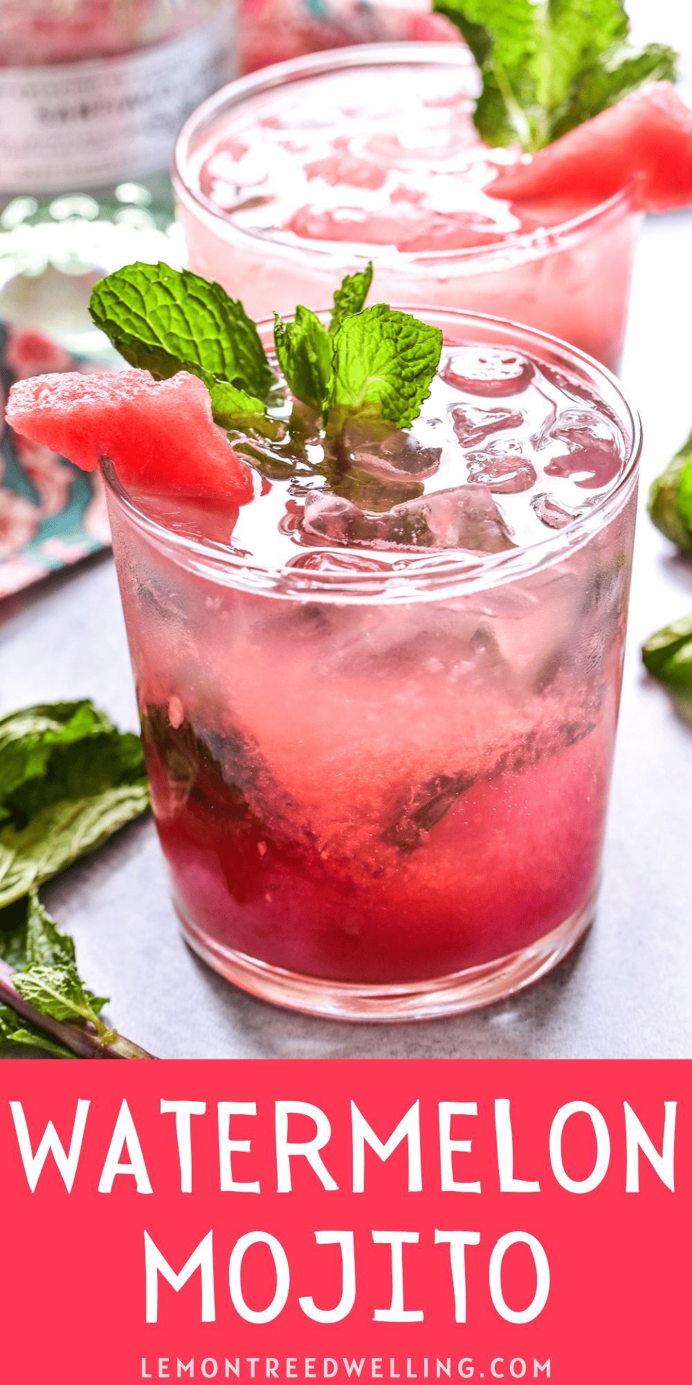 Watermelon Mojito Lemon Tree Dwelling