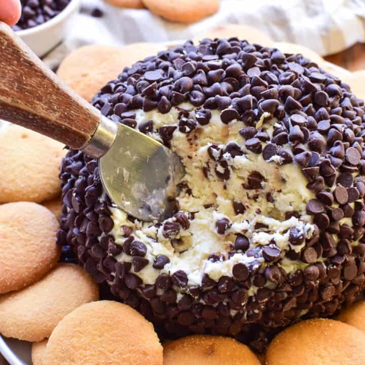 Chocolate Chip Cheese Ball