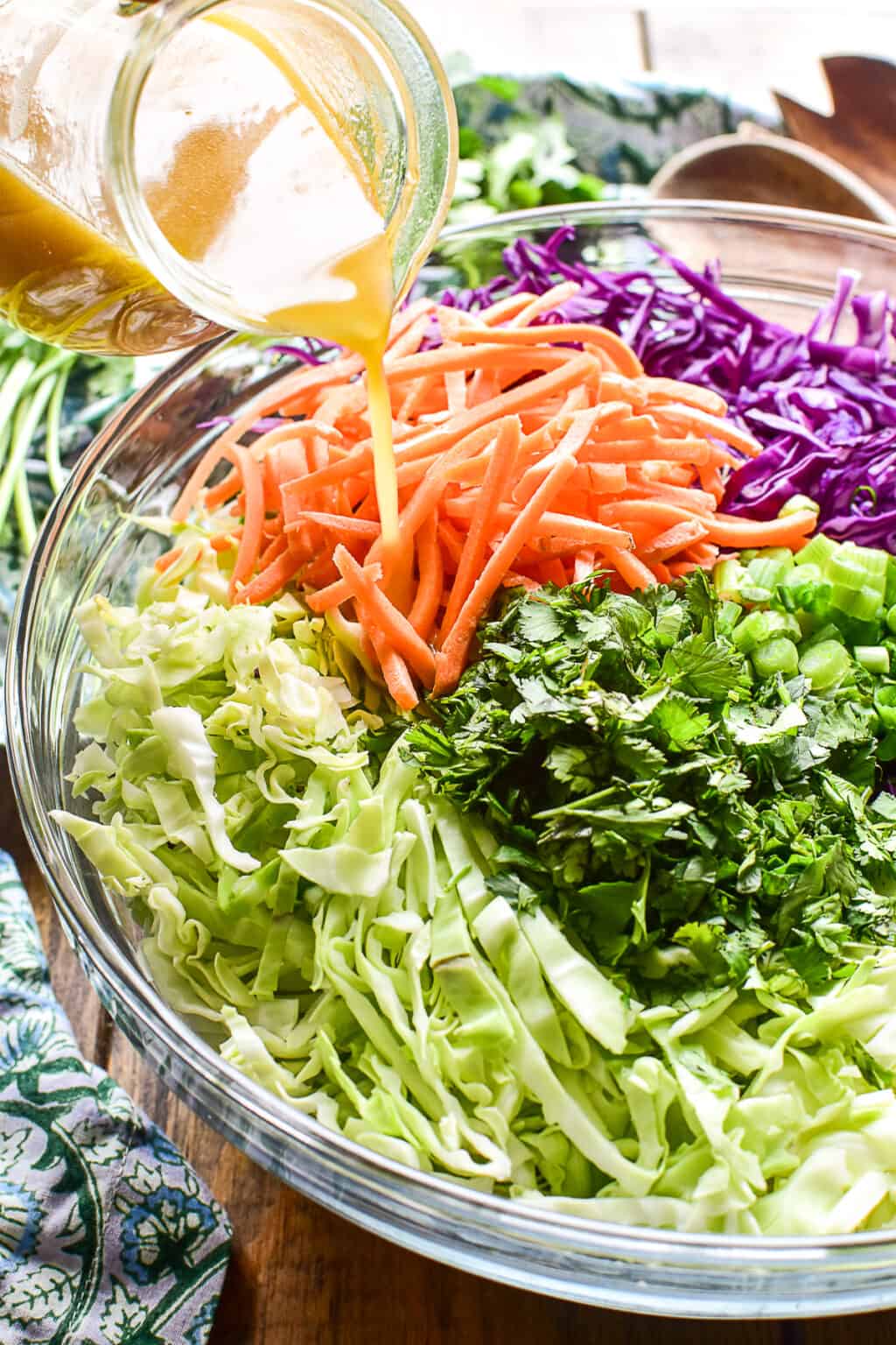 Asian people visual data 4