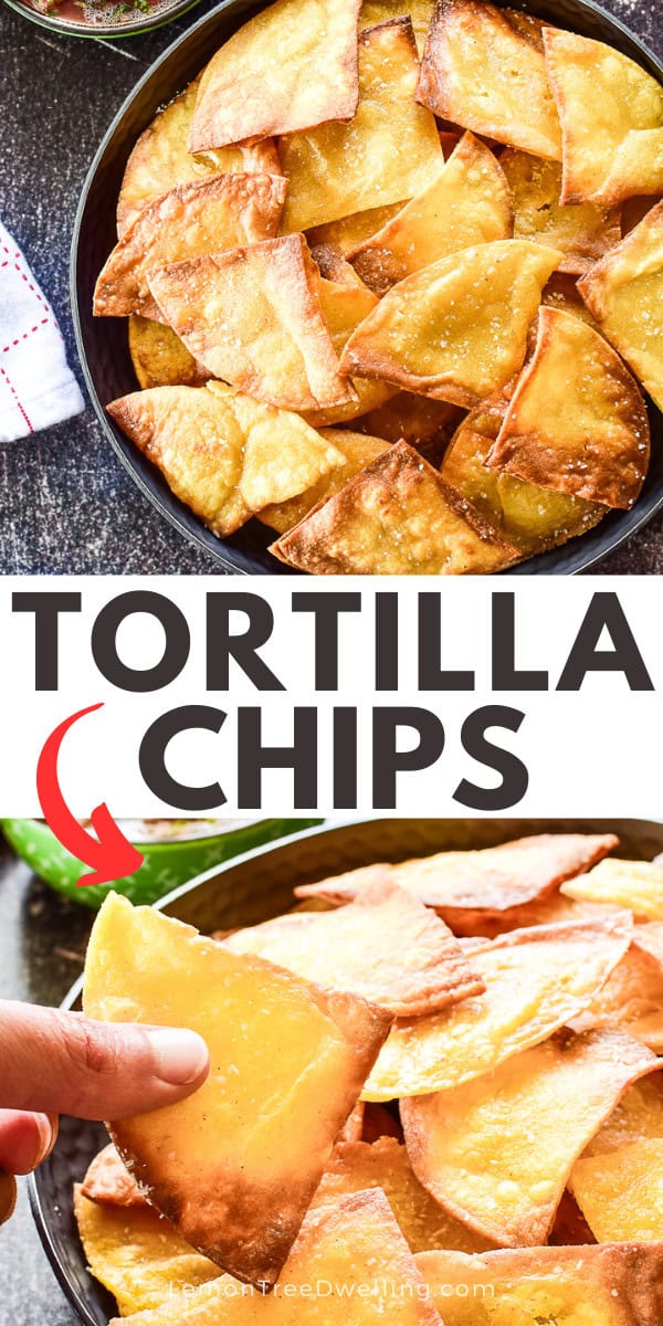 Homemade Tortilla Chips – Lemon Tree Dwelling
