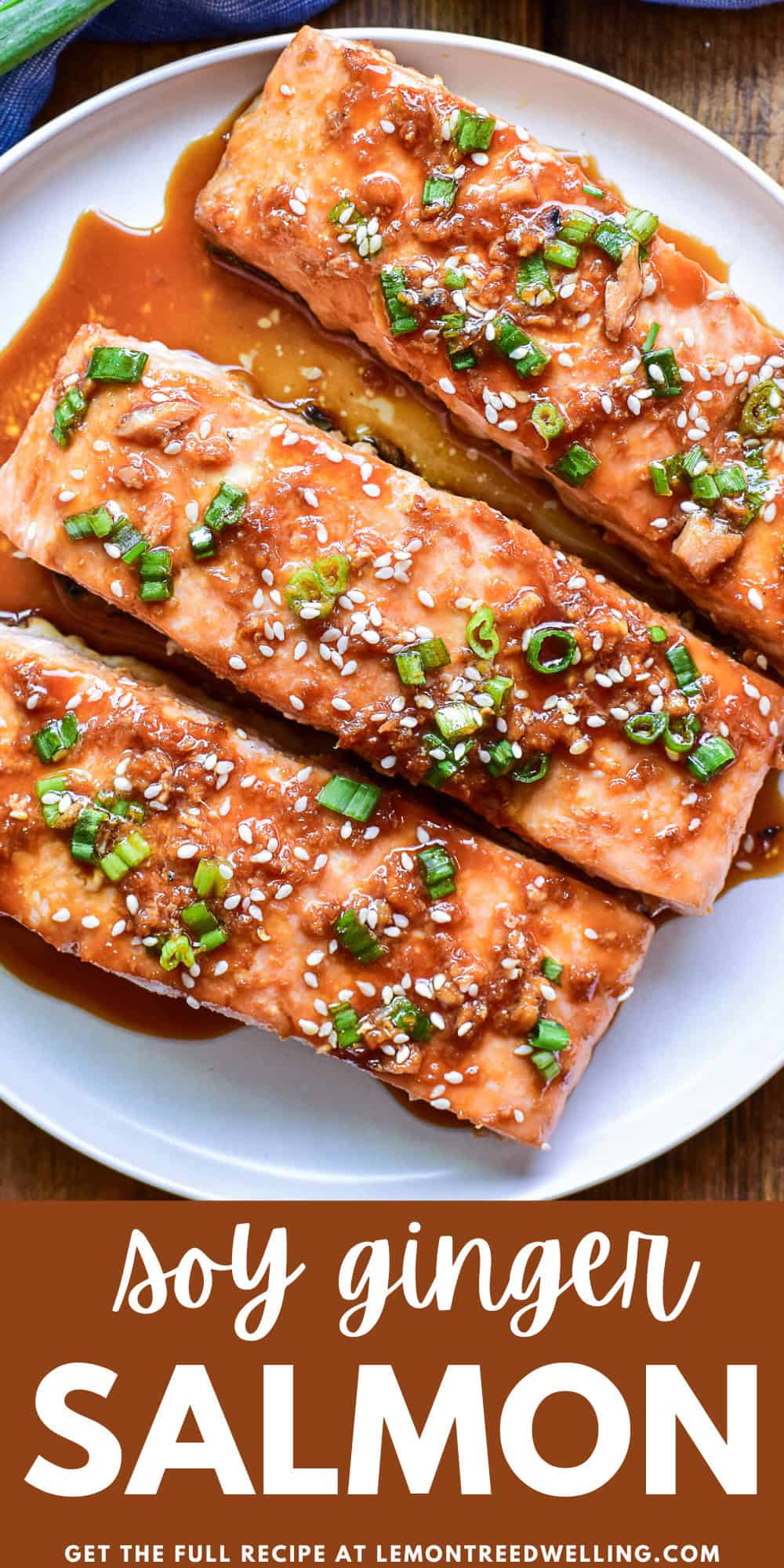 Soy Ginger Salmon – Lemon Tree Dwelling